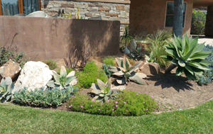 Landscape Design San Diego | Del Mar Landscapes