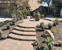 Landscape Design San Diego | Del Mar Landscapes