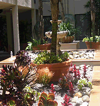 Landscape Design San Diego | Del Mar Landscapes