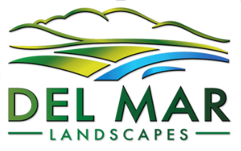 Landscape Design San Diego | Del Mar Landscape